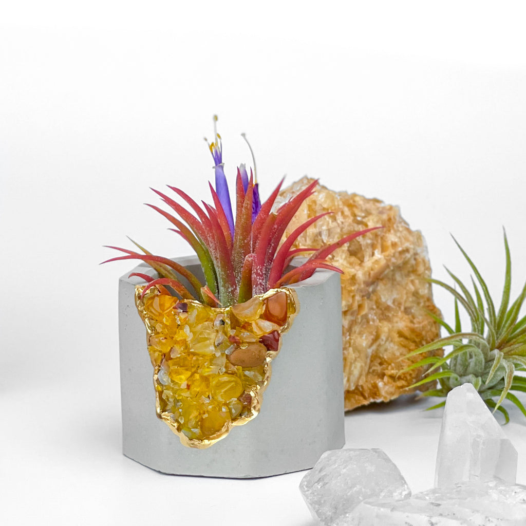 YELLOW AGATE GEODE PLANTER AURA 8 HOME