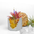 YELLOW AGATE GEODE PLANTER AURA 8 HOME