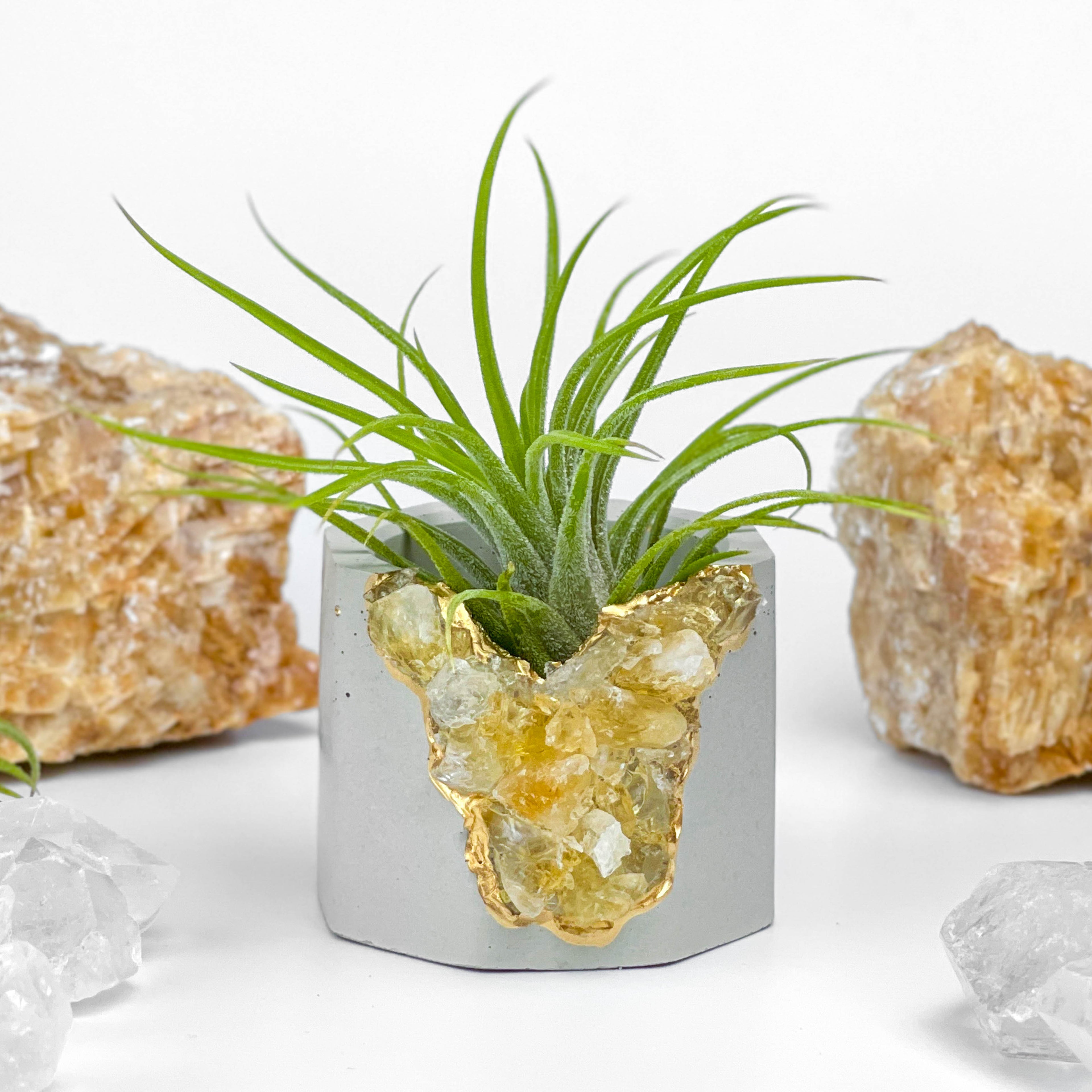 Raw CITRINE GEODE PLANTER AURA 8 HOME