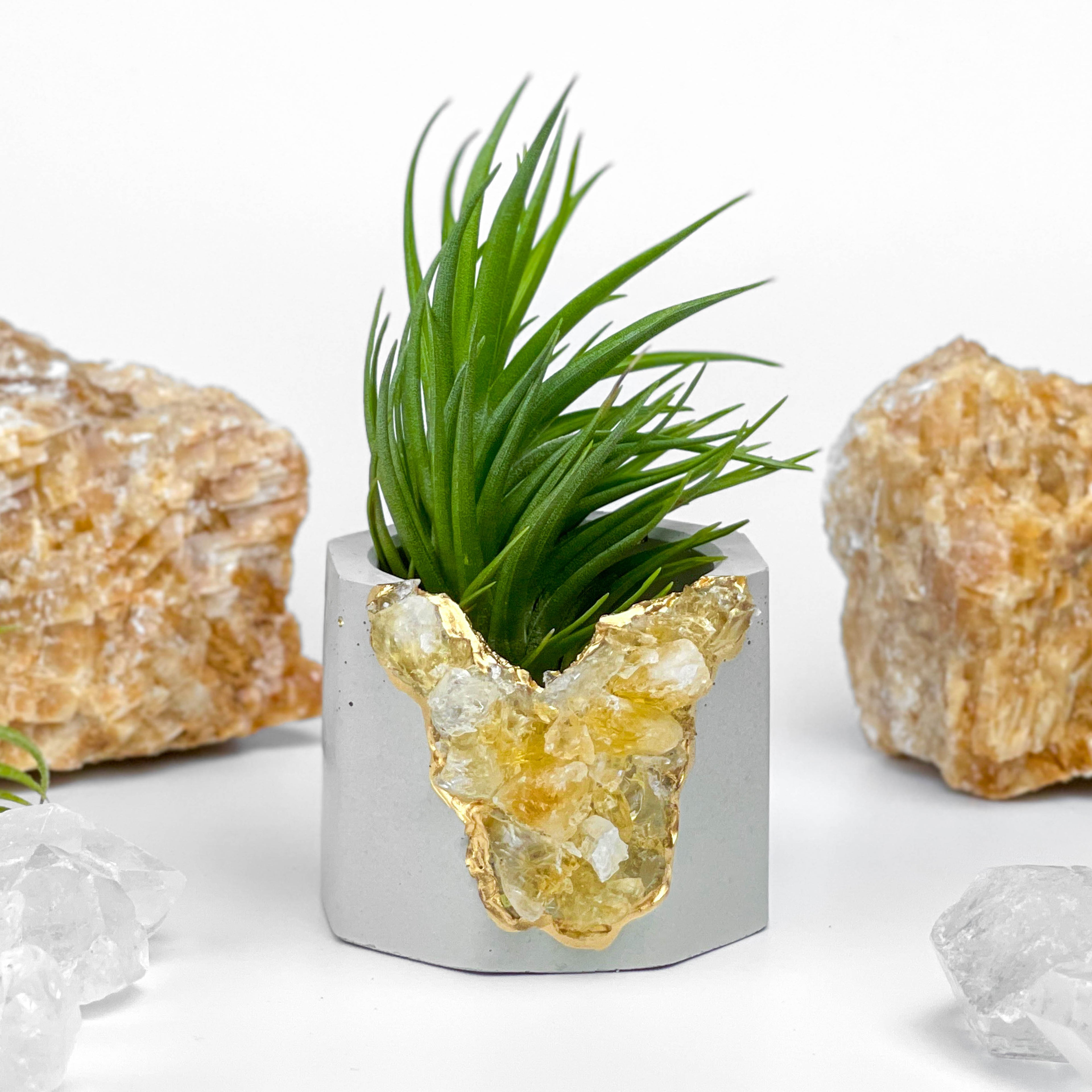 Raw CITRINE GEODE PLANTER AURA 8 HOME