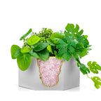 ROSE QUARTZ GEODE PLANTER AURA 8 HOME