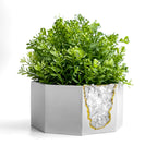 Raw CLEAR QUARTZ GEODE PLANTER AURA 8 HOME