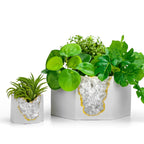 Raw CLEAR QUARTZ GEODE PLANTER AURA 8 HOME