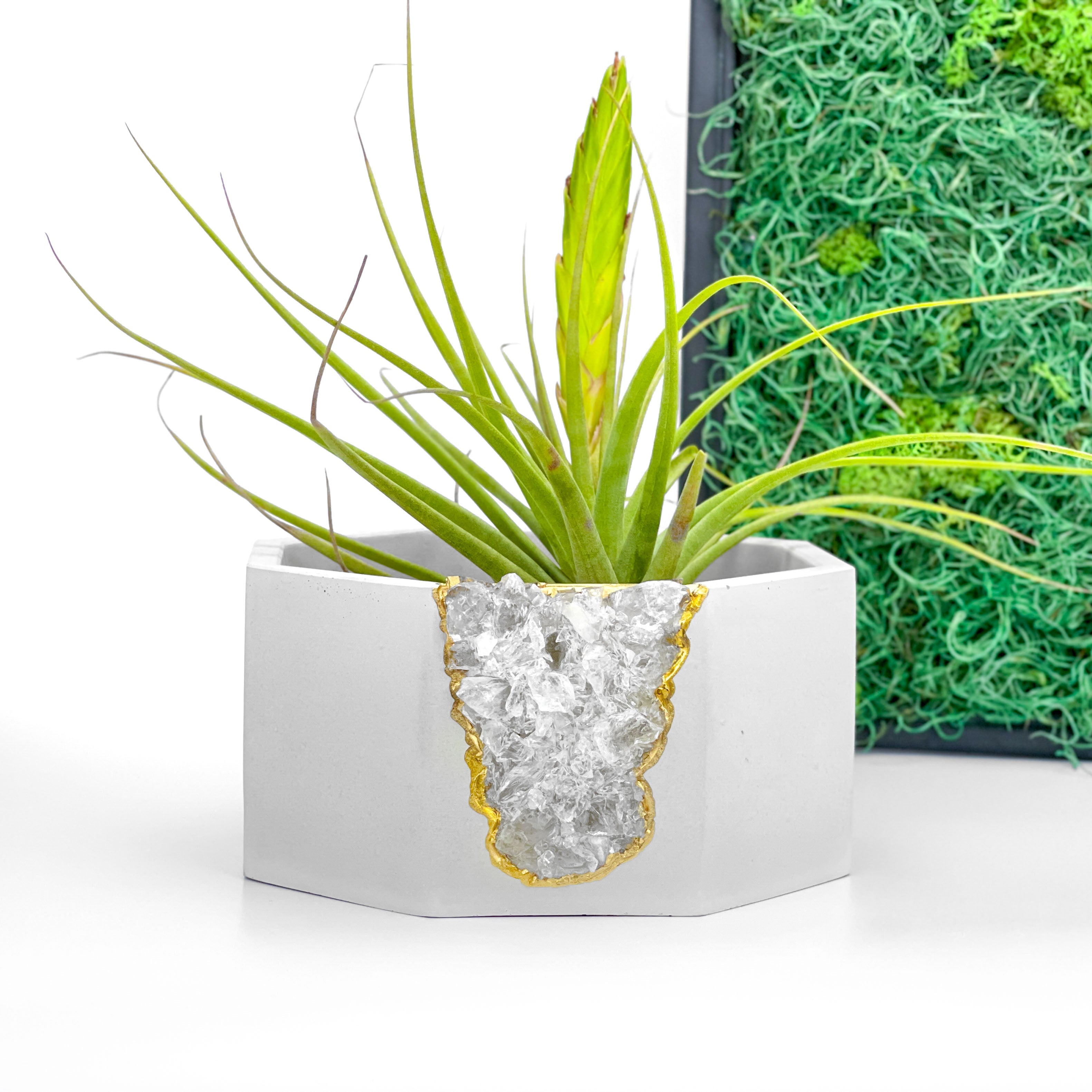 Raw CLEAR QUARTZ GEODE PLANTER AURA 8 HOME