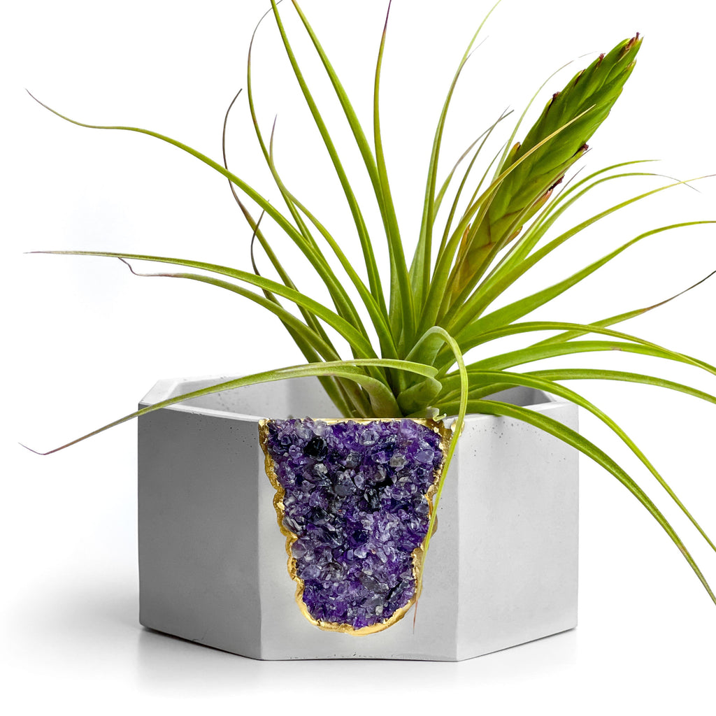AMETHYST GEODE PLANTER AURA 8 HOME