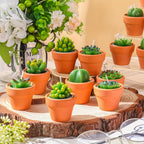 36pcs Succulent Candles Decorative Cactus Tealight Candle Novelty Tea Lights Handmade Baby Shower Candle Decorations Plant Candle with Mini Terracotta Clay Candle Holders for Wedding (Red) House Of Avana