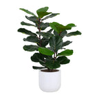 3' Faux Potted Fiddle Leaf Fig Tree, front view - House Of Avana