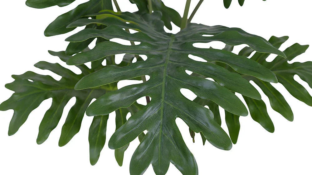 3' Faux Potted Philodendron, side view - House Of Avana