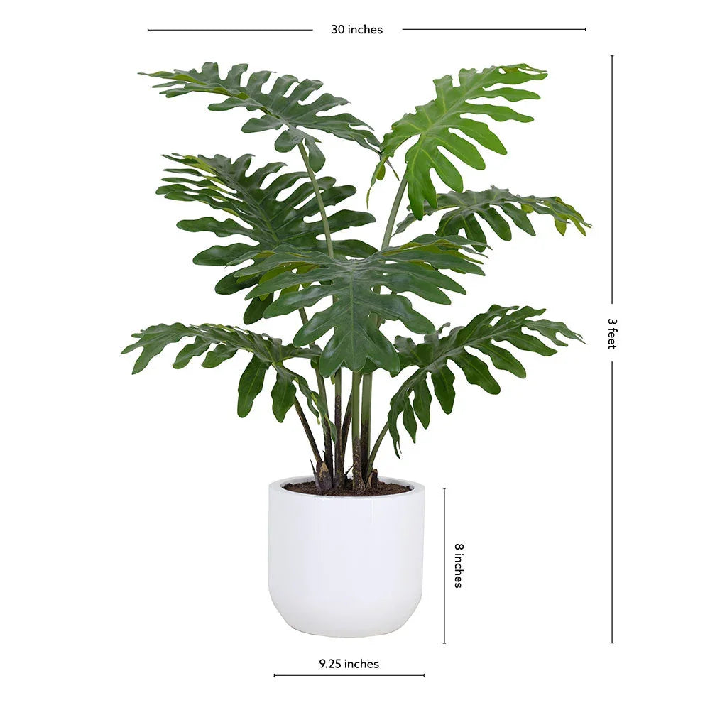 3' Faux Potted Philodendron, top view - House Of Avana