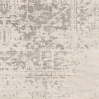 3' x 5' Distressed Oriental Area Rug in Light Grey / Beige