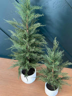 36" / 3’ Artificial Evergreen Cedar Tree, product packaging - House Of Avana