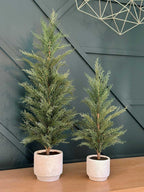 36" / 3’ Artificial Evergreen Cedar Tree, lifestyle image - House Of Avana