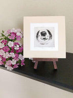 Border Collie Nose Dog Portrait Greyboy Pet Prints