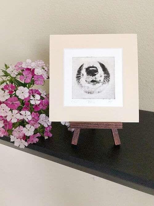 Border Collie Nose Dog Portrait Greyboy Pet Prints