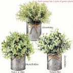 S Potted Artificial Eucalyptus Tree, Galvanized Flower Pot Desktop Center Decoration Suitable for... - House Of Avana [[SKU:HOA-XMS-400]]