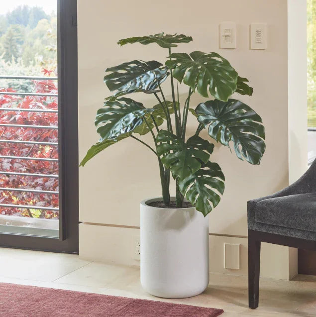 4' Monstera Plant in Modern Gray Planter CG Hunter