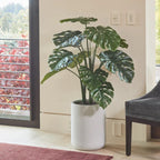 4' Monstera Plant in Modern Gray Planter CG Hunter