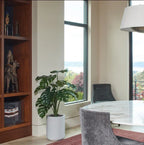 4' Monstera Plant in Modern Gray Planter CG Hunter