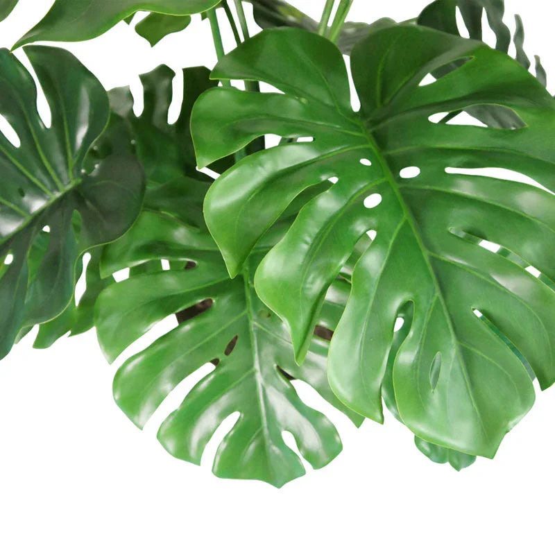 4' Monstera Plant in Modern Gray Planter, top view - House Of Avana