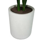 4' Monstera Plant in Modern Gray Planter, angled view - House Of Avana