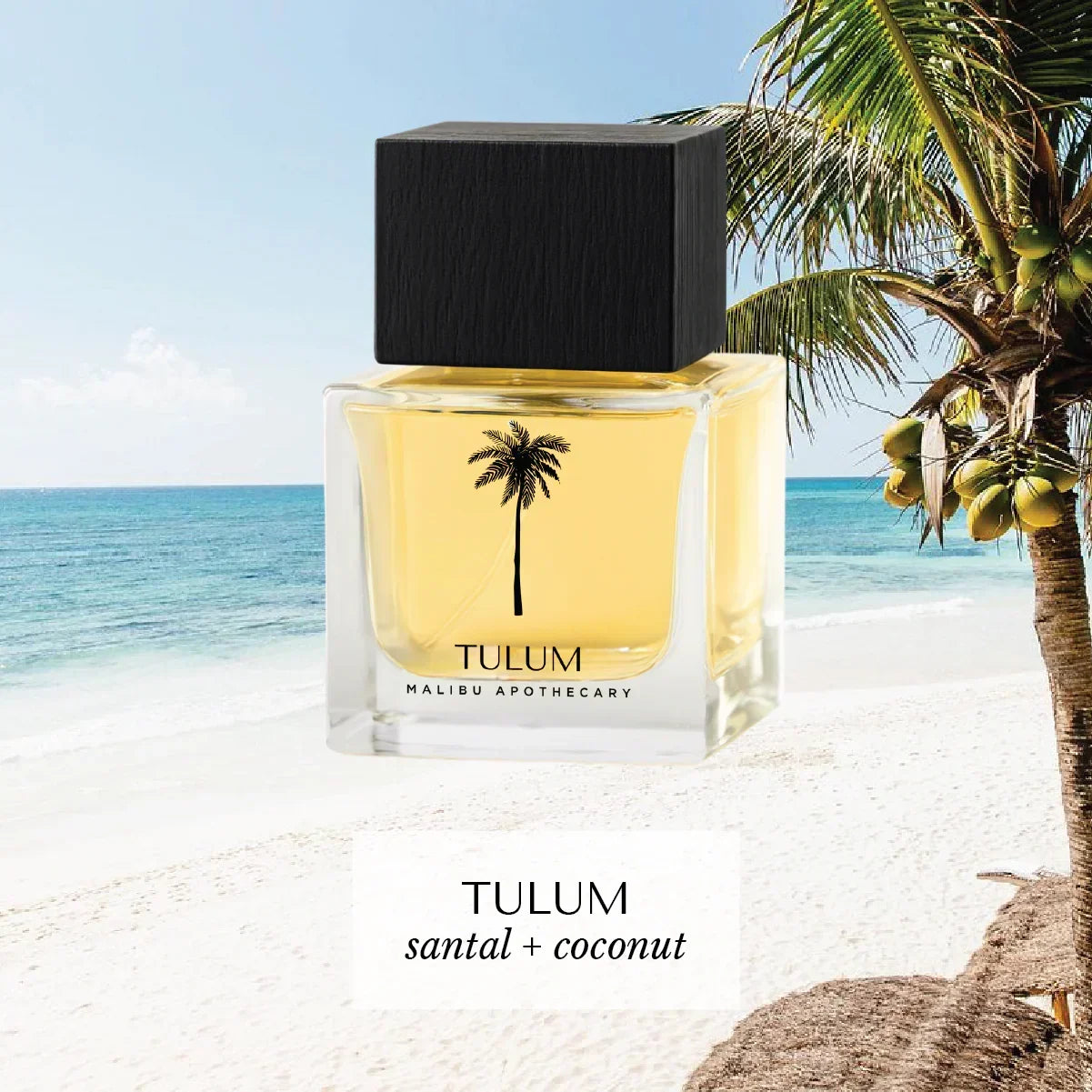 50ml | 1.7fl Oz Eau De Parfum, angled view - House Of Avana