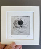 Bernese Nose Dog Portrait Greyboy Pet Prints