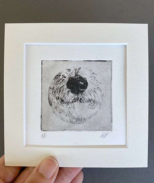 Bernese Nose Dog Portrait Greyboy Pet Prints