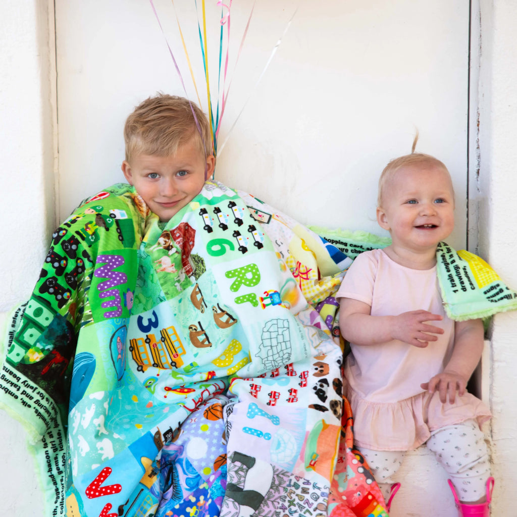 ABC Hidden Pictures Minky Quilt Panel Block Party Quilt Co