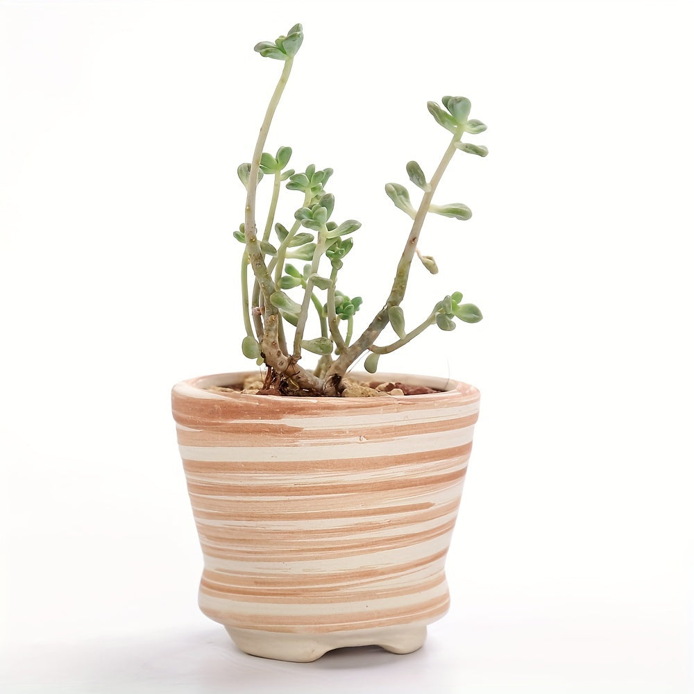 SUN-E 6pcs/Set Mini Plant Pots Pattern Succulent Plant Pot Cactus Pot Flower Pot Decorative Ceramic Planter for Home House Office Outdoor Garden Container Planter Perfect Gift Idea for Women with Drain Hole 2.5Inch/6.5cm (Pla House Of Avana