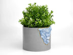6" BLUE CALCITE PLANTER AURA 8 HOME
