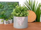 6 inch ROSE QUARTZ PLANTER AURA 8 HOME