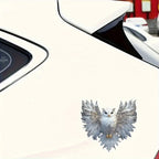 6inch Cute White Owl Vinyl Decal, Car Sticker for Laptop, Bottle, Truck, Phone, Motorcycle, Window,... - House Of Avana [[SKU:HOA-WAL-072]]