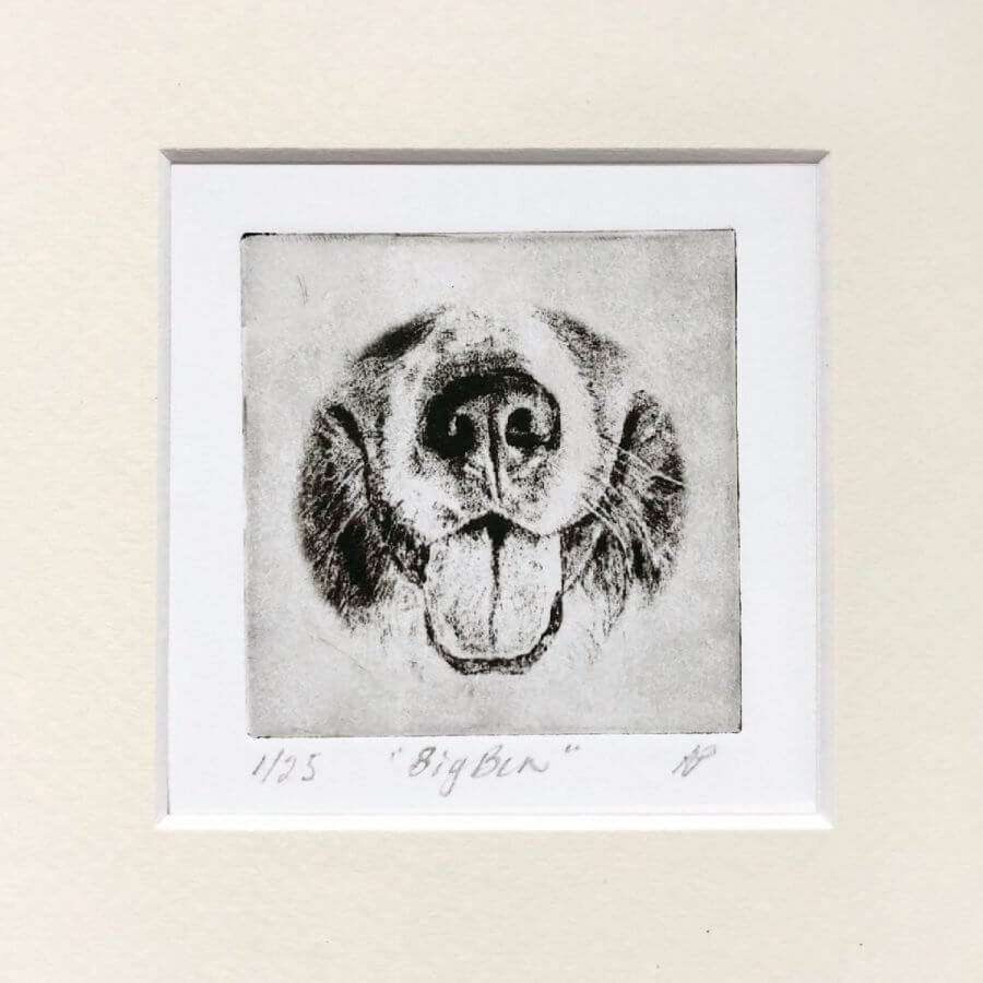 Bernese Nose Dog Portrait Greyboy Pet Prints