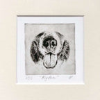 Bernese Nose Dog Portrait Greyboy Pet Prints