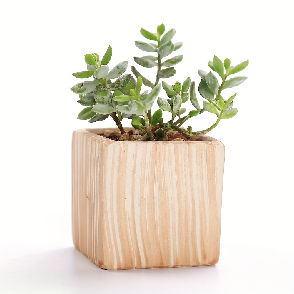 SUN-E 6pcs/Set Mini Plant Pots Pattern Succulent Plant Pot Cactus Pot Flower Pot Decorative Ceramic Planter for Home House Office Outdoor Garden Container Planter Perfect Gift Idea for Women with Drain Hole 2.5Inch/6.5cm (Pla House Of Avana
