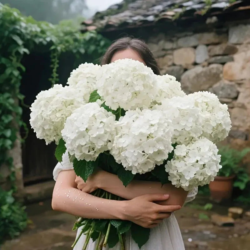 S Artificial White Hydrangea Suit-home Decoration Simulation Flower-uv-resistant Plastic Vine Garnet,... - House Of Avana