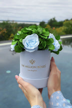 Basic Light Blue Suede Garden Box | Light Blue Roses The Million Roses