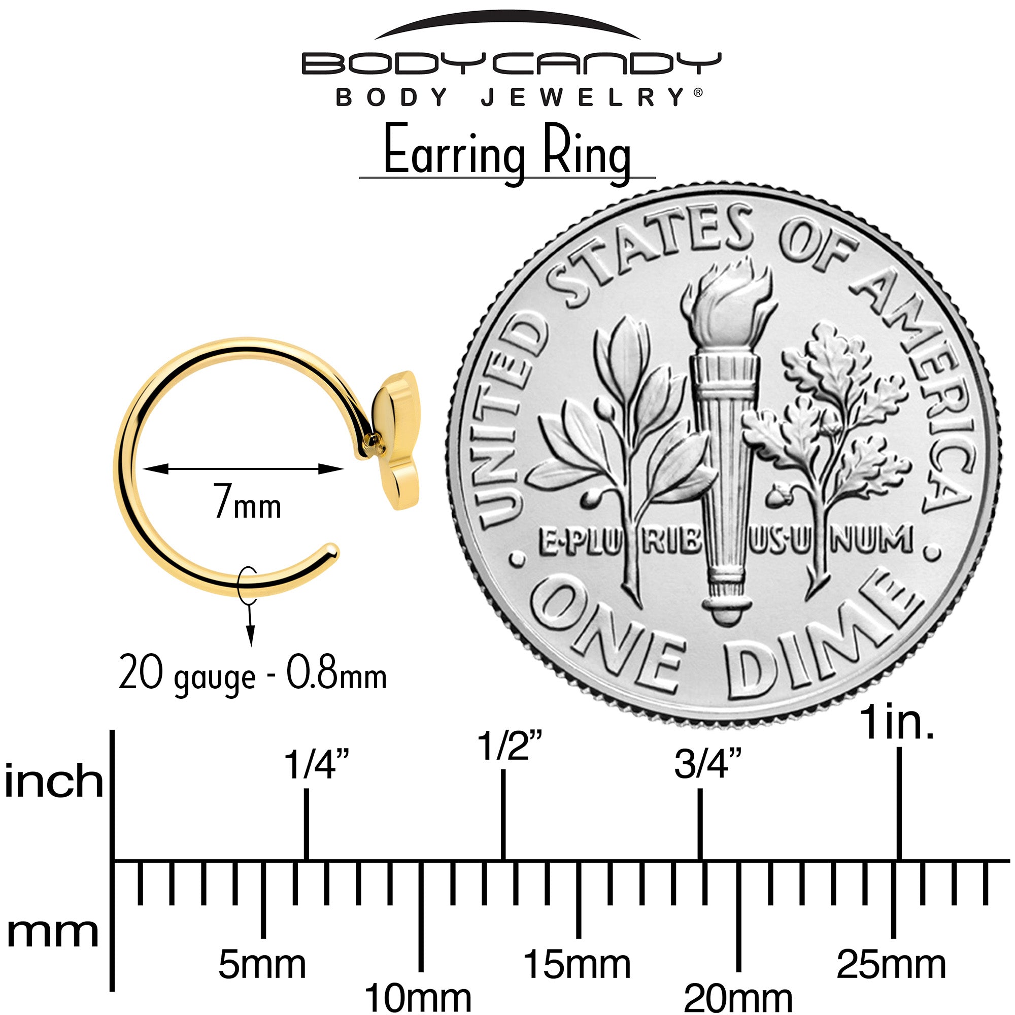 20G Gold Tone Implant Grade Titanium Butterfly Open Hoop Earring Set