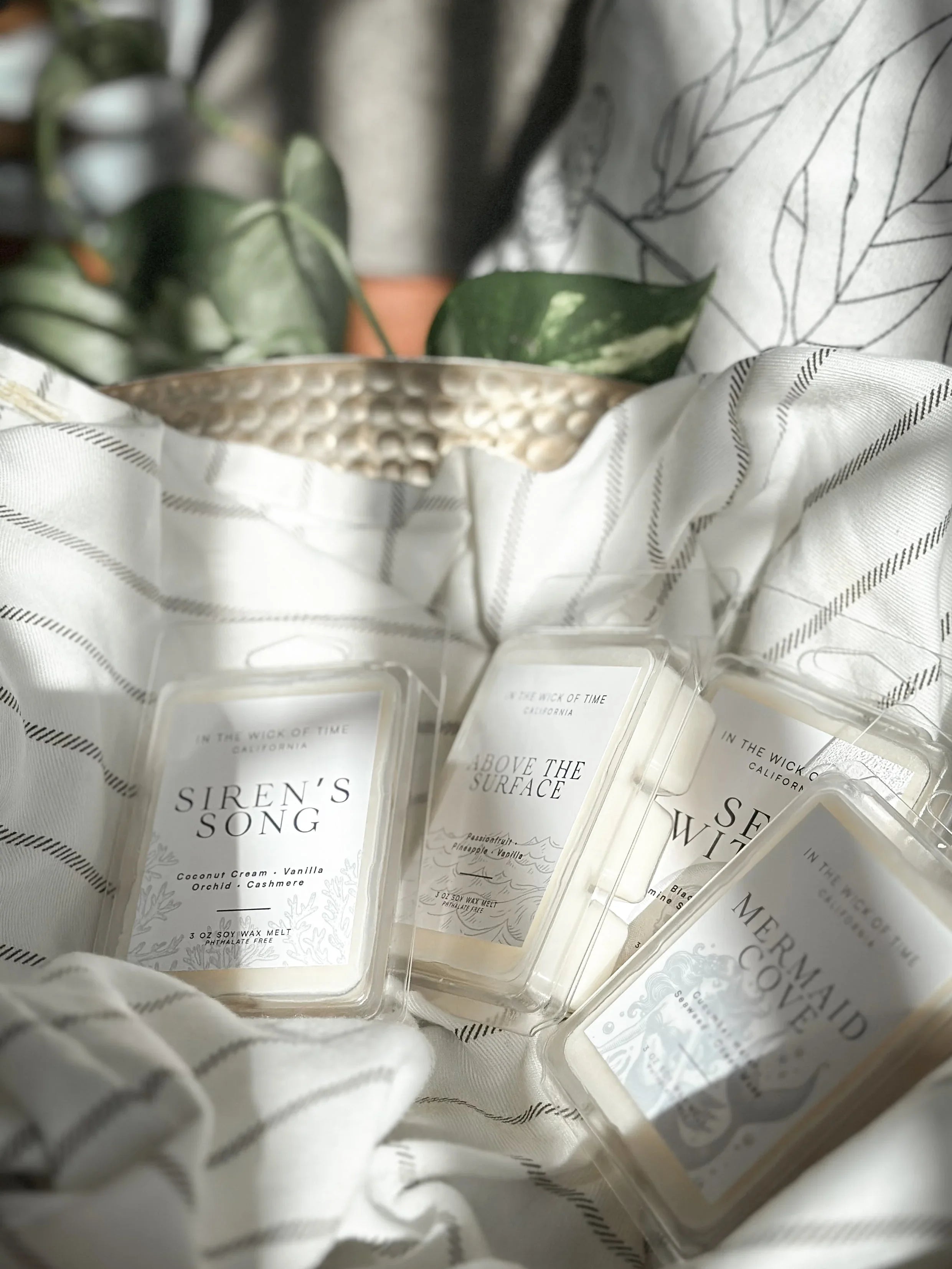 Above the Surface Wax Melt In the Wick of Time