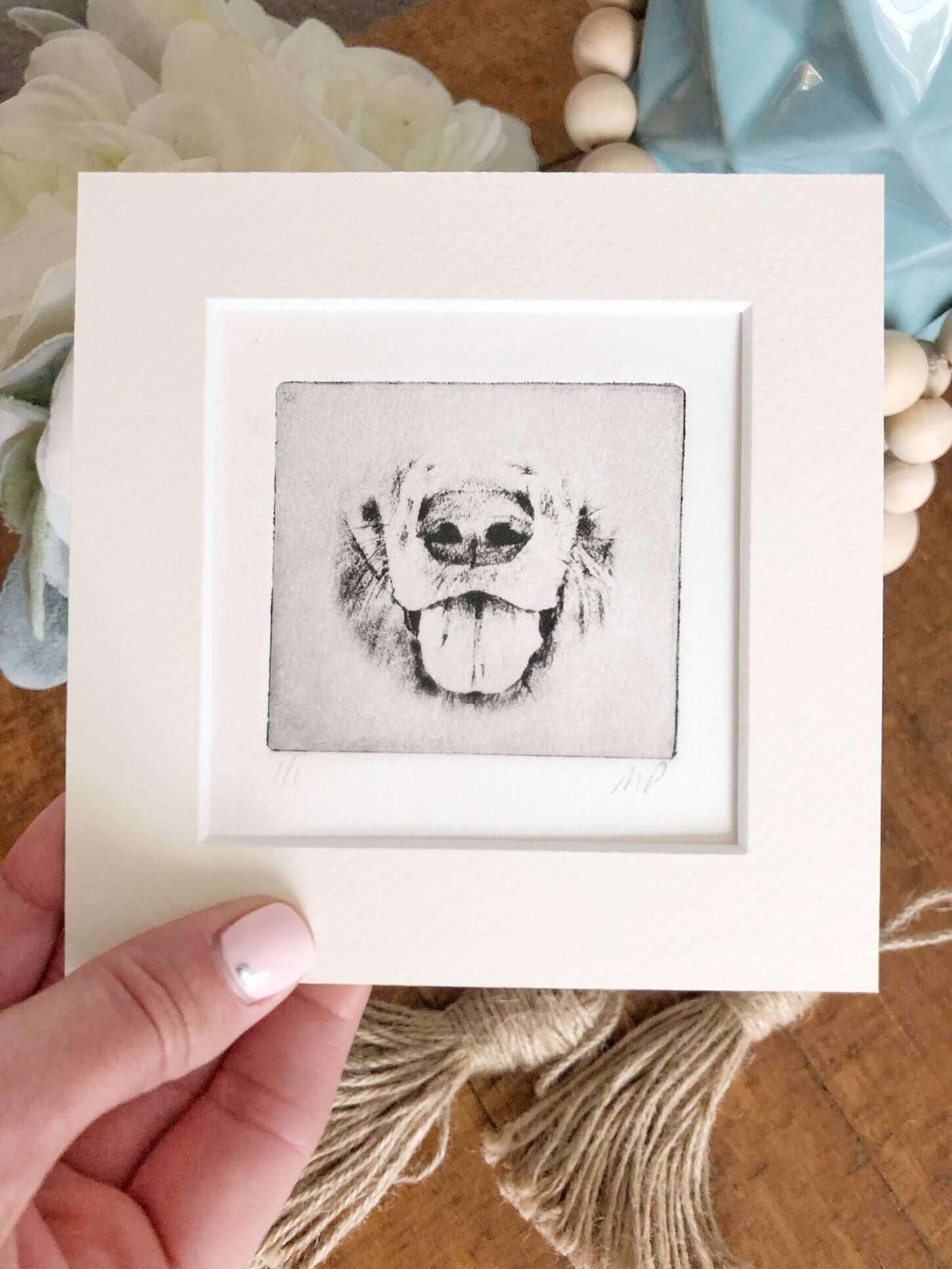 Border Collie Nose Dog Portrait Greyboy Pet Prints