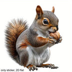 3pcs Cute Squirrel Eating Nuts Stickers - Scratch-Resistant, High Quality, with Double-Sided Printing - for Cars, Motorcycles, Laptops, Water Bottles - Brown & Gray Squirrel Decoration - Easy Application & Removal - Perfect f House Of Avana