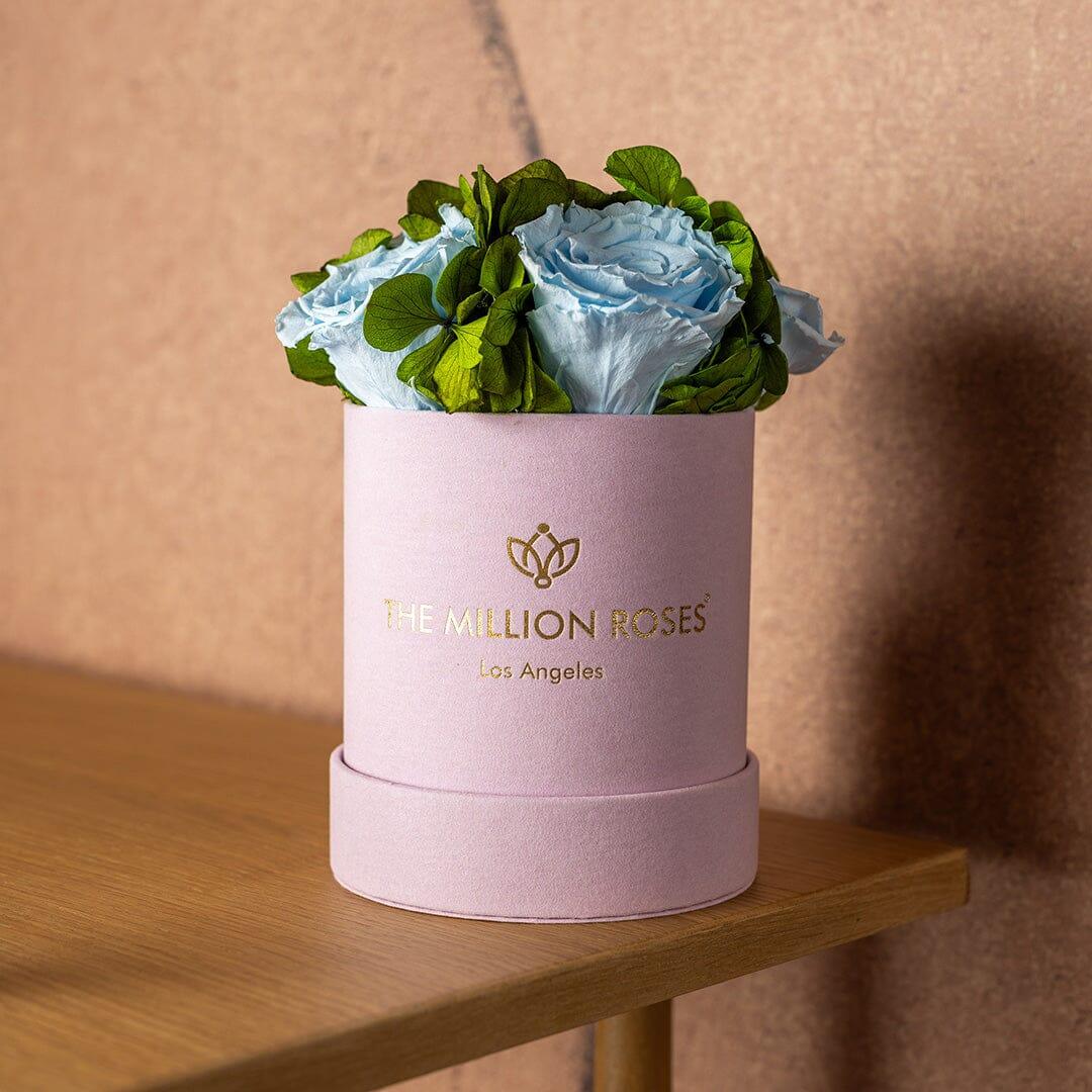 Basic Light Pink Suede Garden Box | Light Blue Roses The Million Roses