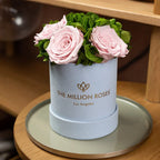 Basic Light Blue Suede Garden Box | Light Pink Roses The Million Roses