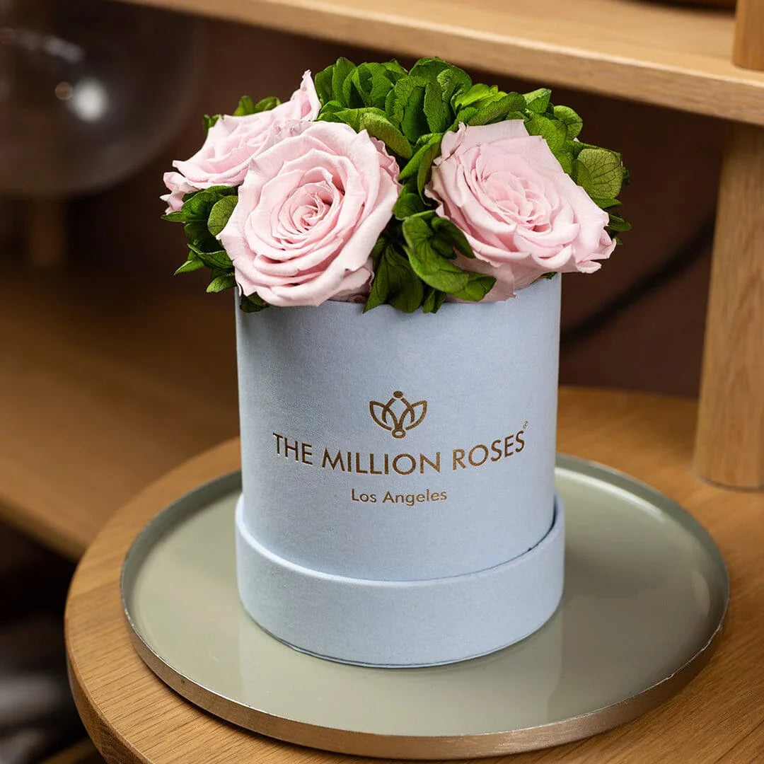 Basic Light Blue Suede Garden Box | Light Pink Roses The Million Roses