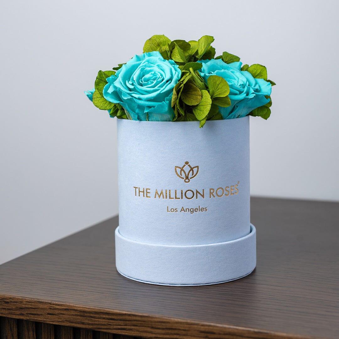 Basic Light Blue Suede Garden Box | Turquoise Roses The Million Roses