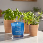 Amalfi • Basil & Arugula, angled view - House Of Avana