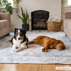 Afya Washable Area Rug Hauteloom