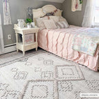 Amaga Area Rug Hauteloom