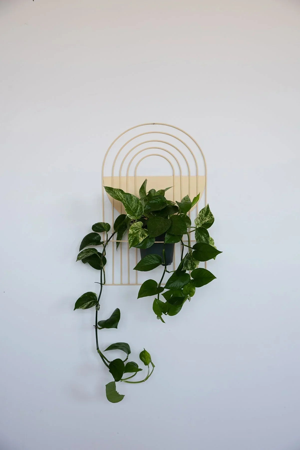 Ceramic Arches Wall Planter with Multiple Layers for Indoor Outdoor Decor, close-up view - House Of Avana