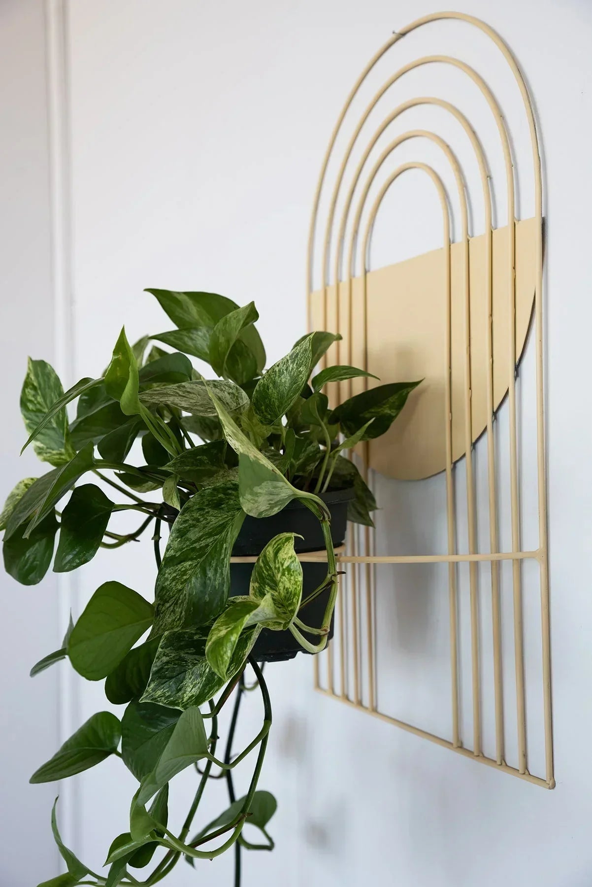 Ceramic Arches Wall Planter with Multiple Layers for Indoor Outdoor Decor, product packaging - House Of Avana